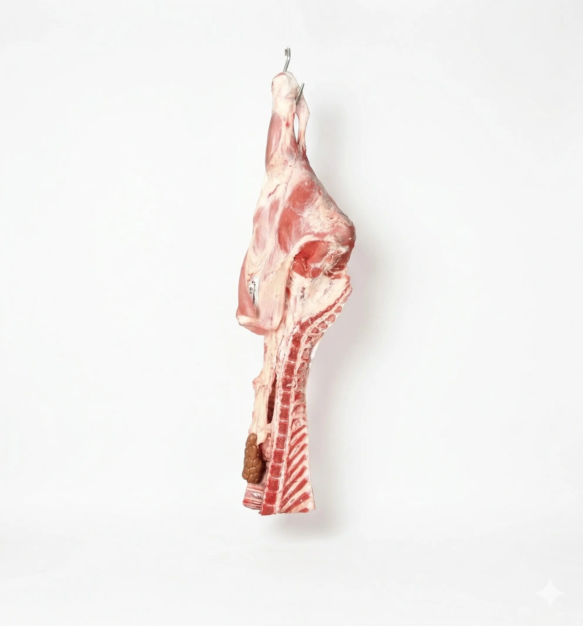 Halal Milk-Fed Veal Pistol 8 Ribs Bone-In (Pan de Veau) — Pre-Order
